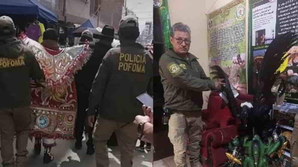 POFOMA secuestra 11 quirquinchos y un cóndor disecados en el Carnaval de Oruro
