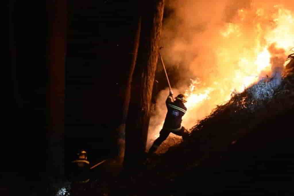 En el Bosquecillo de Pura Pura, Guardaparques y GERI apagan un incendio forestal