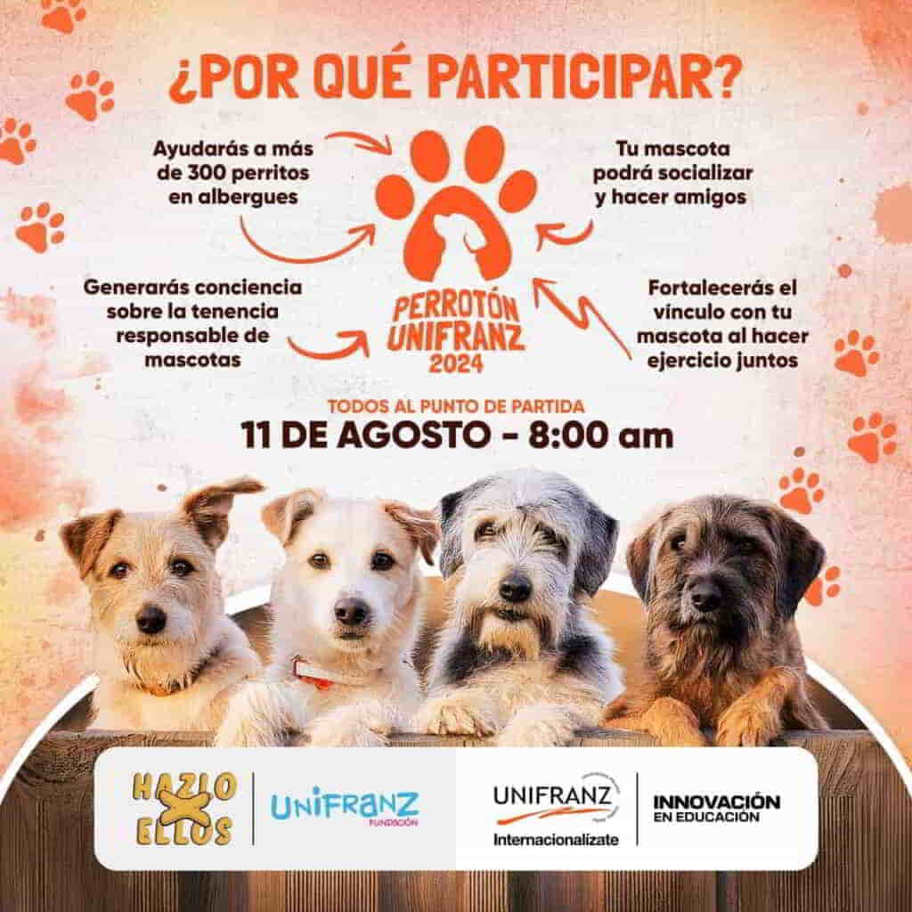 Perrotón 2024 evento para promover la tenencia responsable y la adopción de mascotas