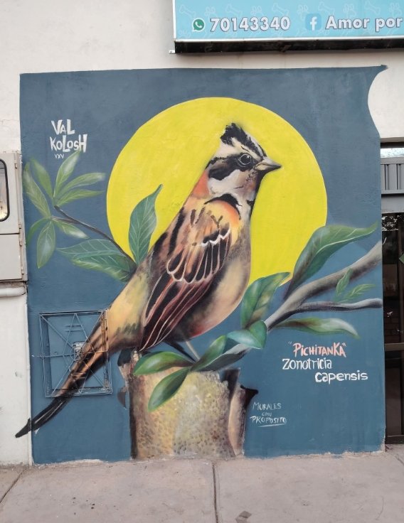 Murales con propósito: «Pichitanka»