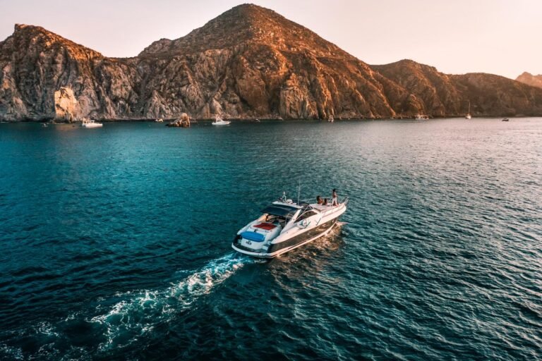 Comenzó la temporada de avistamiento de ballenas en Los Cabos: Hoteles de la zona invitan al público latino