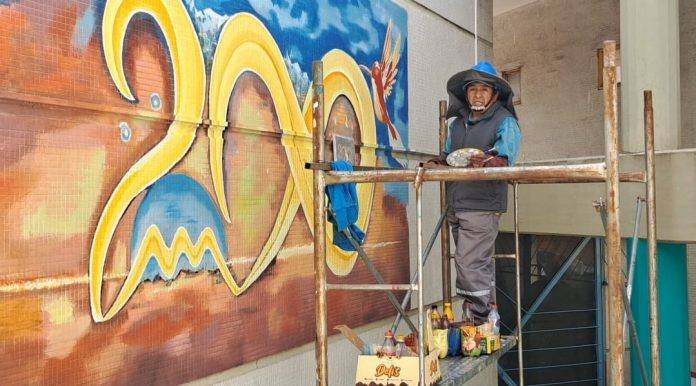 El color en La Paz con murales pintados por Saúl Crespo