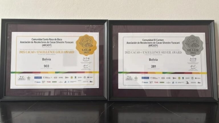 Medallas de oro y plata para el cacao boliviano en el Cacao Excellence Awards