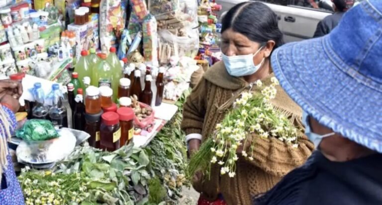 La ONU alerta que más del 20 % de las plantas medicinales está en peligro