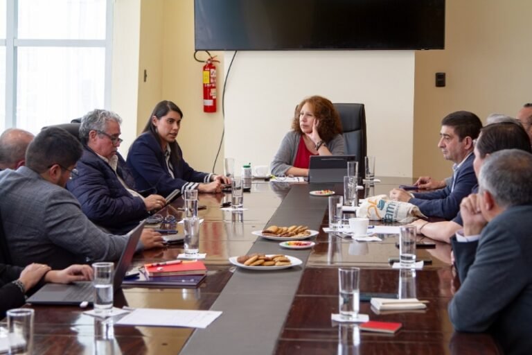 Ministra Yáñez impulsa alianza estratégica con España para la gestión turística boliviana