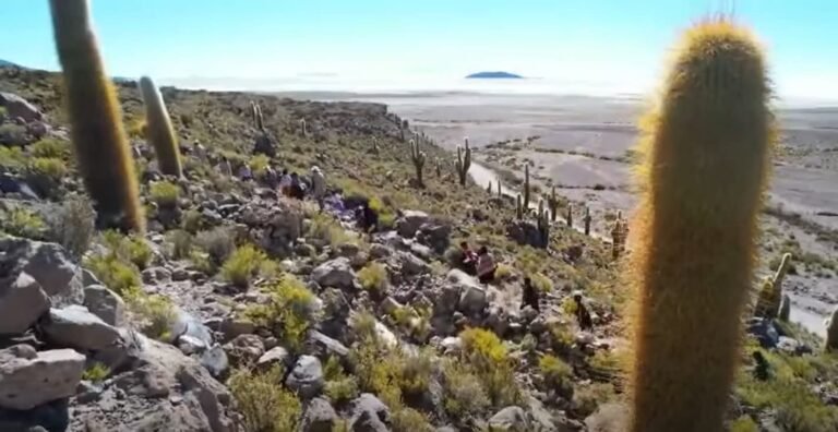 Atulcha invita a degustar picante de avestruz y sabores del altiplano en el Año Nuevo Andino 5534