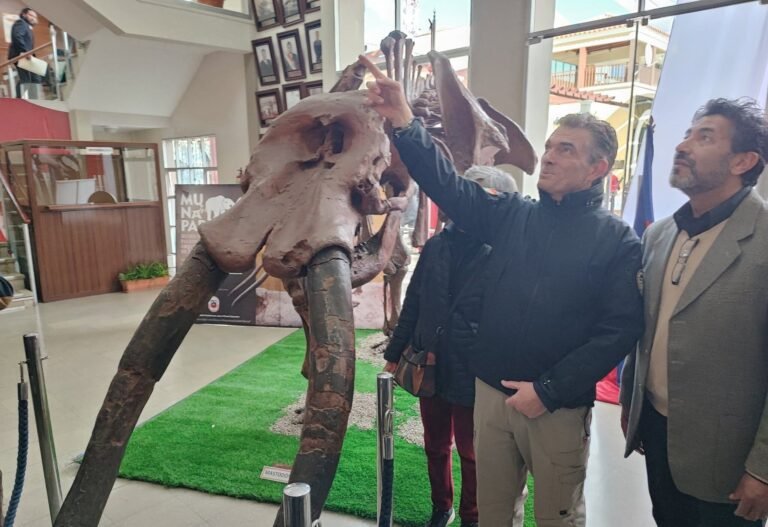 Presidente Paz visita el Museo Nacional Paleontológico de Tarija
