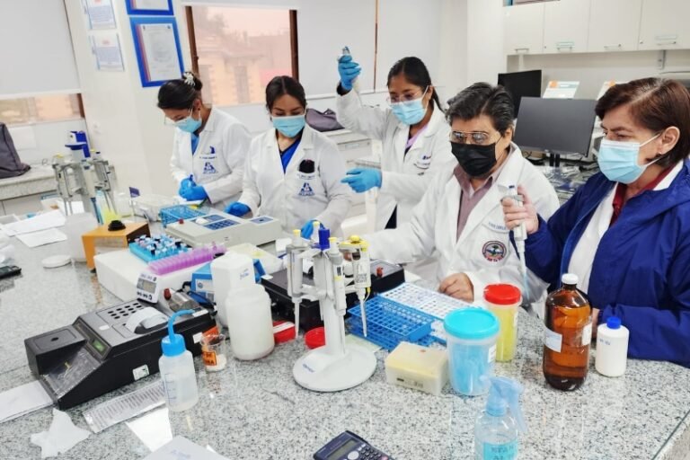 Lo que La Paz le ha enseñado a la ciencia