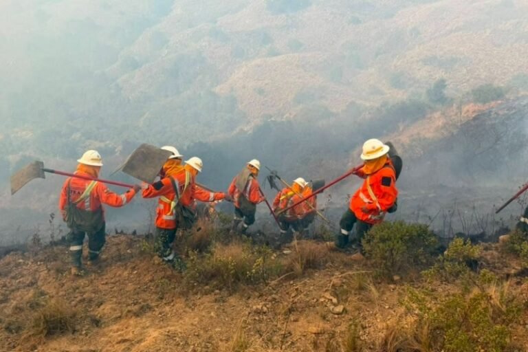 Presidente Paz pide investigar el origen de los incendios ante indicios de focos provocados