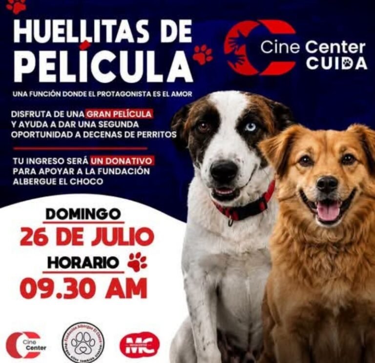 «Huellitas de Película»: Cine Center y Megacenter auxiliarán al Albergue El Choco tras más de 50 días aislados