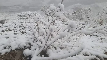Pronostican nevadas para algunas regiones de cinco departamentos del país