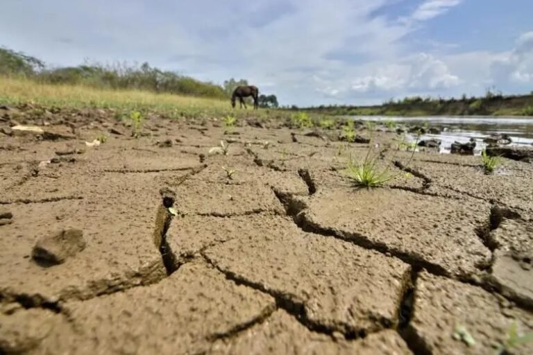 La UMSA abre sus puertas para explicar a la población los efectos de El Niño y cómo prepararse