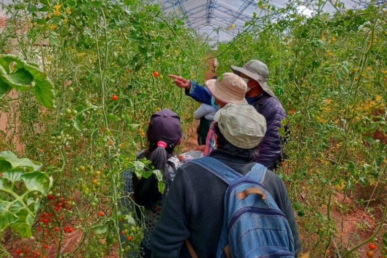 UMSA abre curso gratuito para convertir residuos en abono y producir alimentos en casa