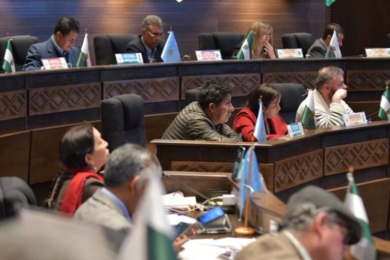 Senado aprueba crédito del BID para hogares afectados por el ajuste de precios de los combustibles