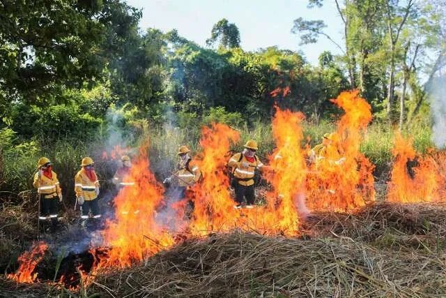 Pantanal capacita a 40 profesionales de Brasil y Bolivia para combatir incendios complejos.